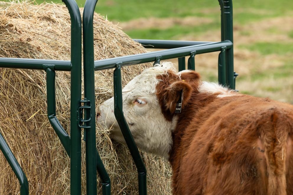 Behlen Country Green RangeMax Feeder Panel, 10-Ft x 66-In