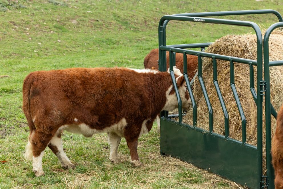 Behlen Country Green RangeMax Feeder Panel, 10-Ft x 66-In