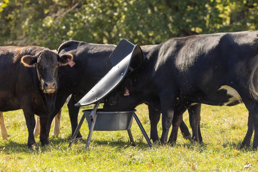 Behlen Country Gray AeroGuard Max Mineral Feeder