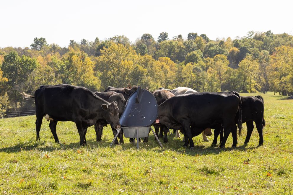 Behlen Country Gray AeroGuard Max Mineral Feeder