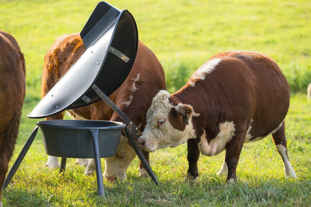 Behlen Country Gray AeroGuard Max Mineral Feeder