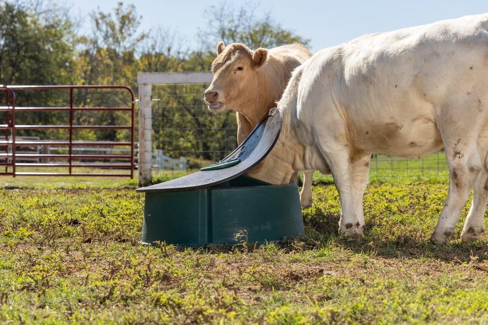 Behlen Country Green Big Valley Mineral Feeder