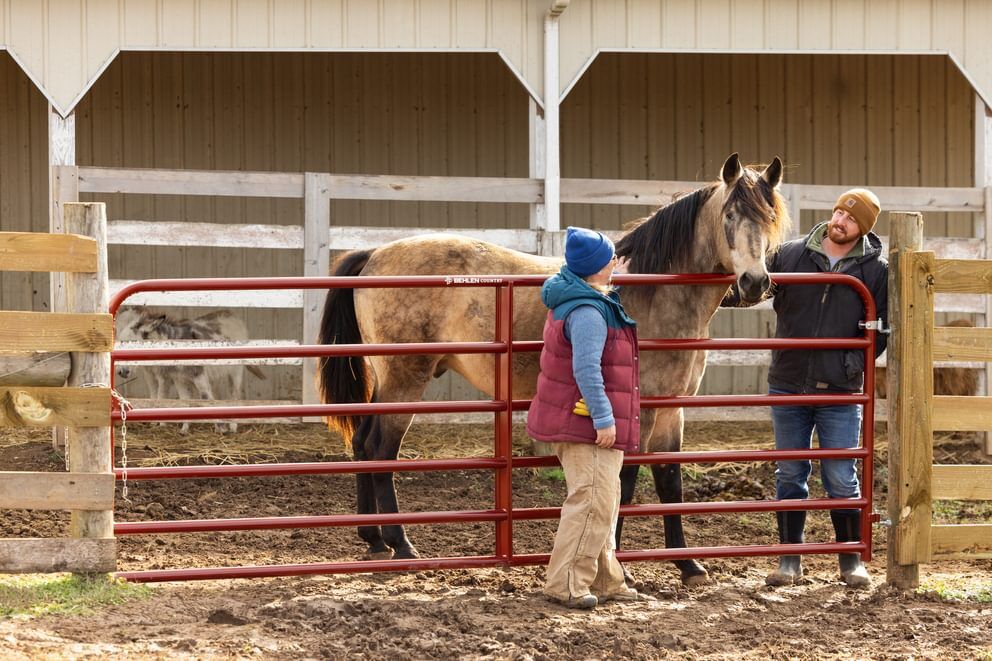 Behlen Country Green AgStar Gate, 6-Ft x 50-In