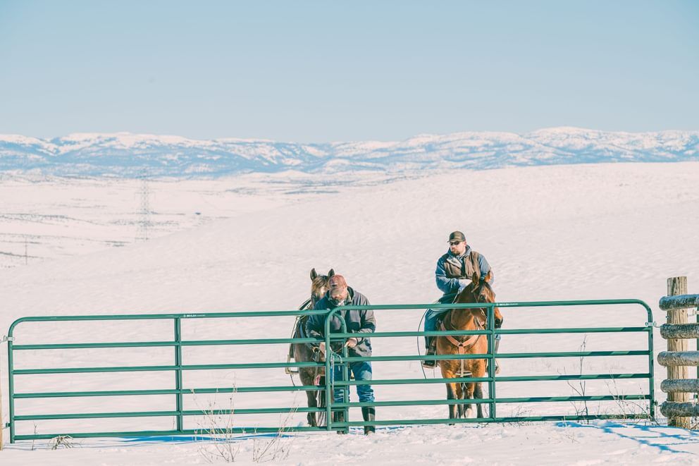 Behlen Country Green AgStar Gate, 8-Ft x 50-In