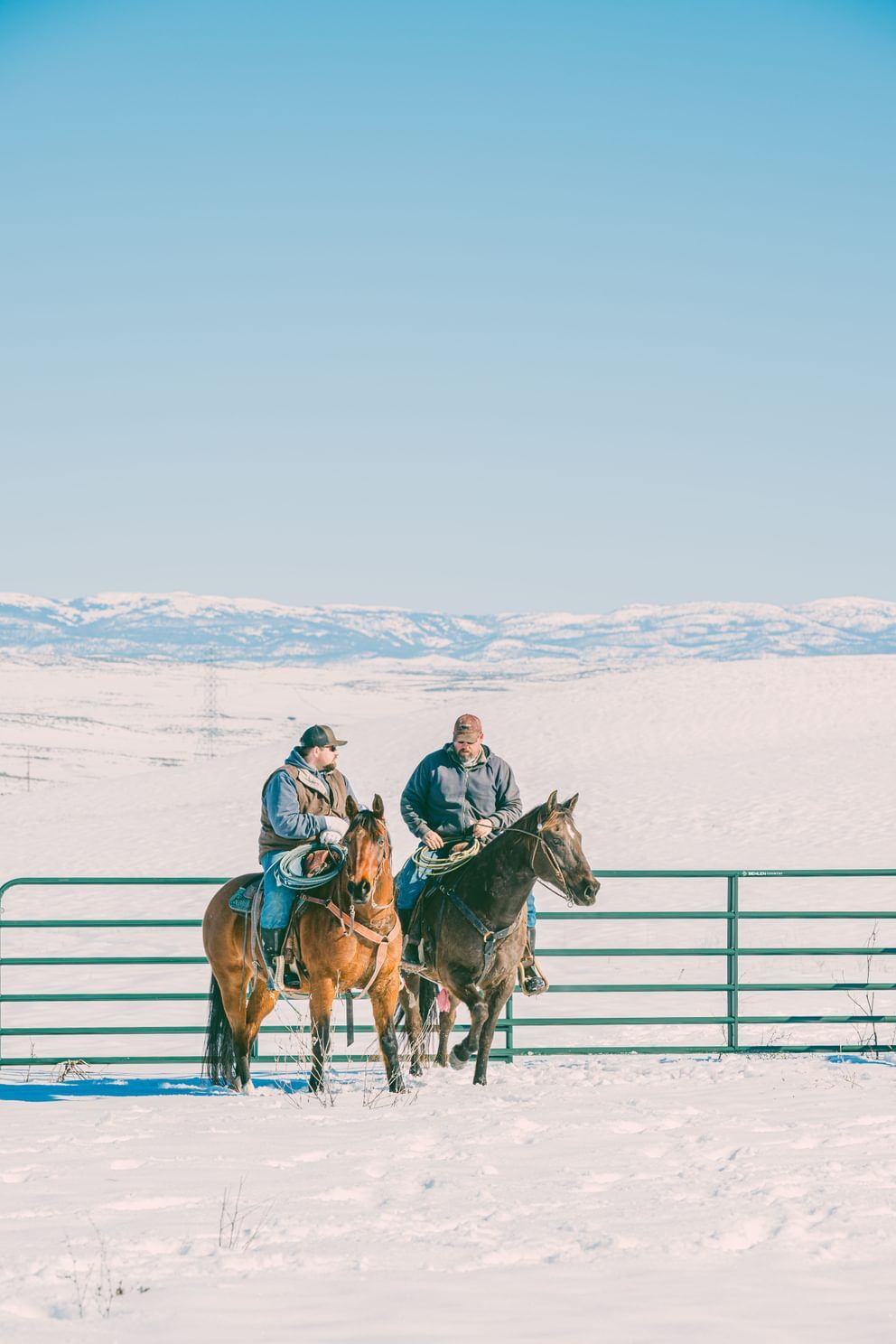Behlen Country Green AgStar Gate, 12-Ft x 50-In