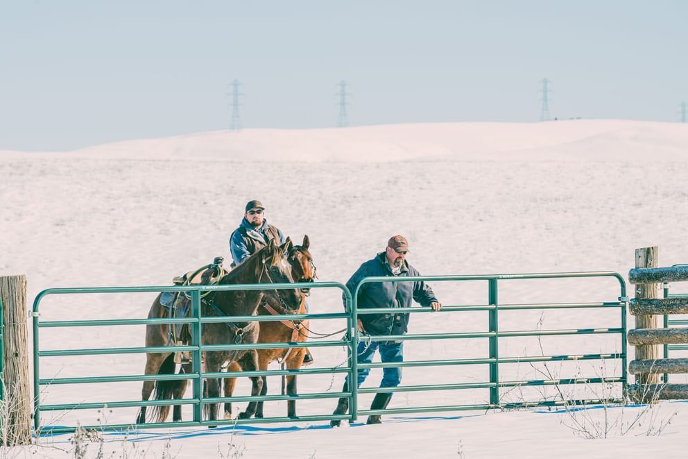 Behlen Country Green AgStar Gate, 14-Ft x 50-In