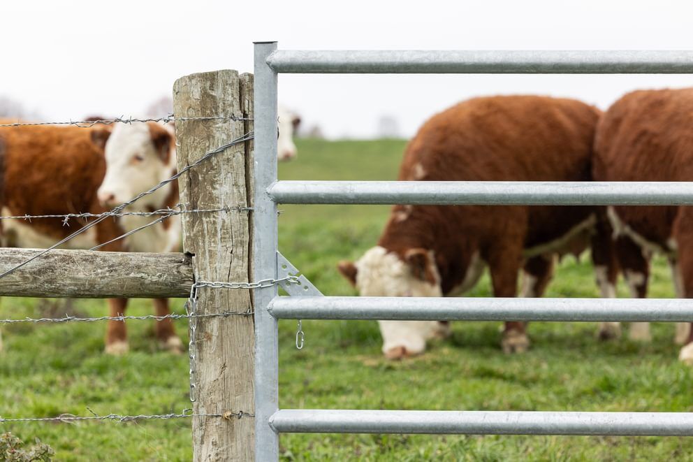 Behlen Country Green AgStar Gate, 16-Ft x 50-In