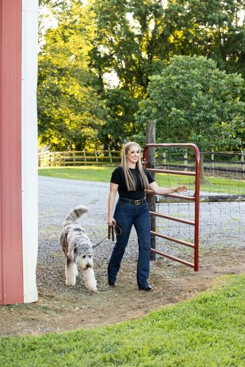 Behlen Country Gray The Heritage Round Corner Gate, 16-Ft x 50-In