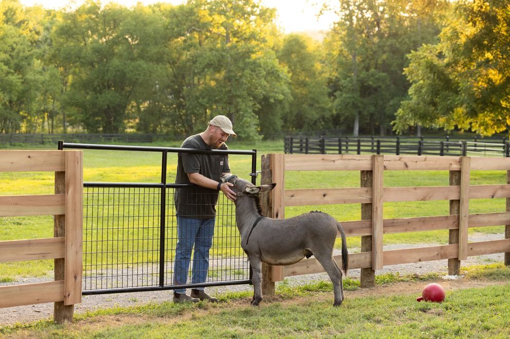 Behlen Country Gray Frontier Gate, 3-Ft x 50-In