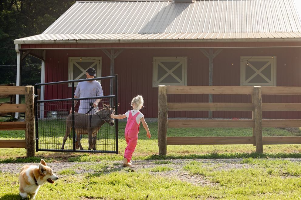 Behlen Country Gray Frontier Gate, 8-Ft x 50-In