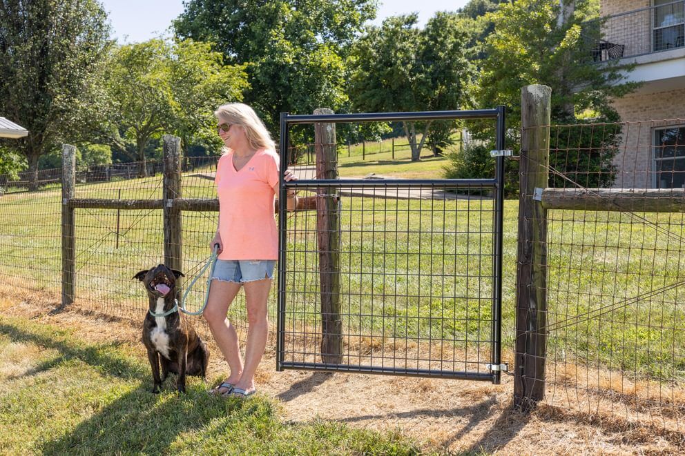 Behlen Country Galvanized Frontier Gate, 4-Ft x 50-In