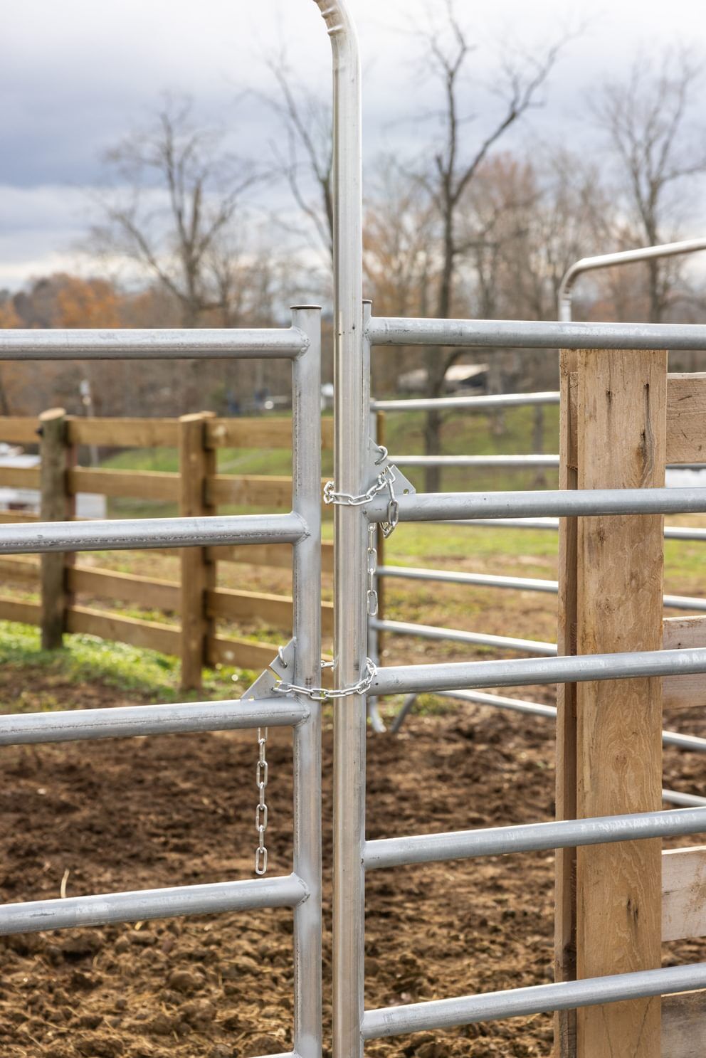Behlen Country Gray Horse Country Chain Connection Corral Panel, 12-Ft x 64-In