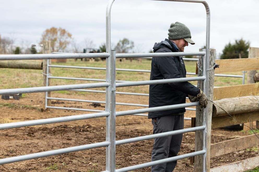 Behlen Country Gray Horse Country Chain Connection Corral Panel, 12-Ft x 64-In