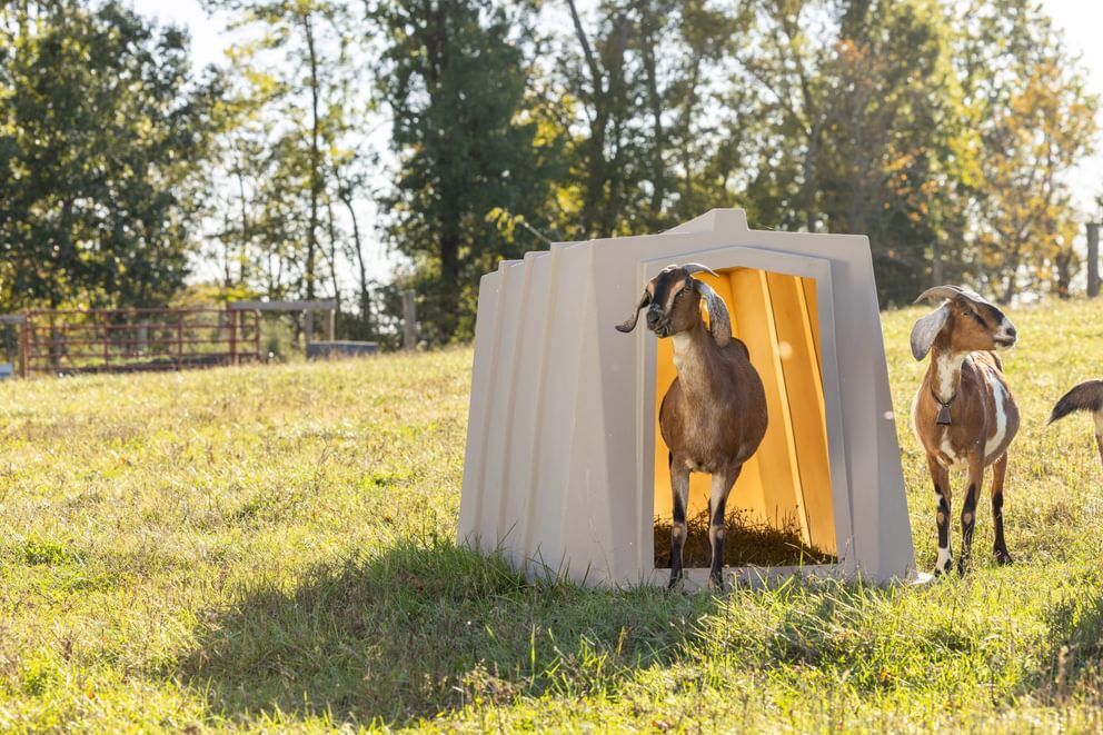 Behlen Country The Bungalow Animal Shelter, 76-In x 51-In