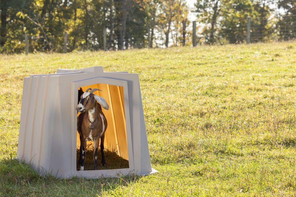 Behlen Country The Bungalow Animal Shelter, 76-In x 51-In