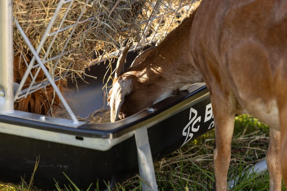 Behlen Country Black Foreman Pro All-In-One Feed Station, 5-Ft