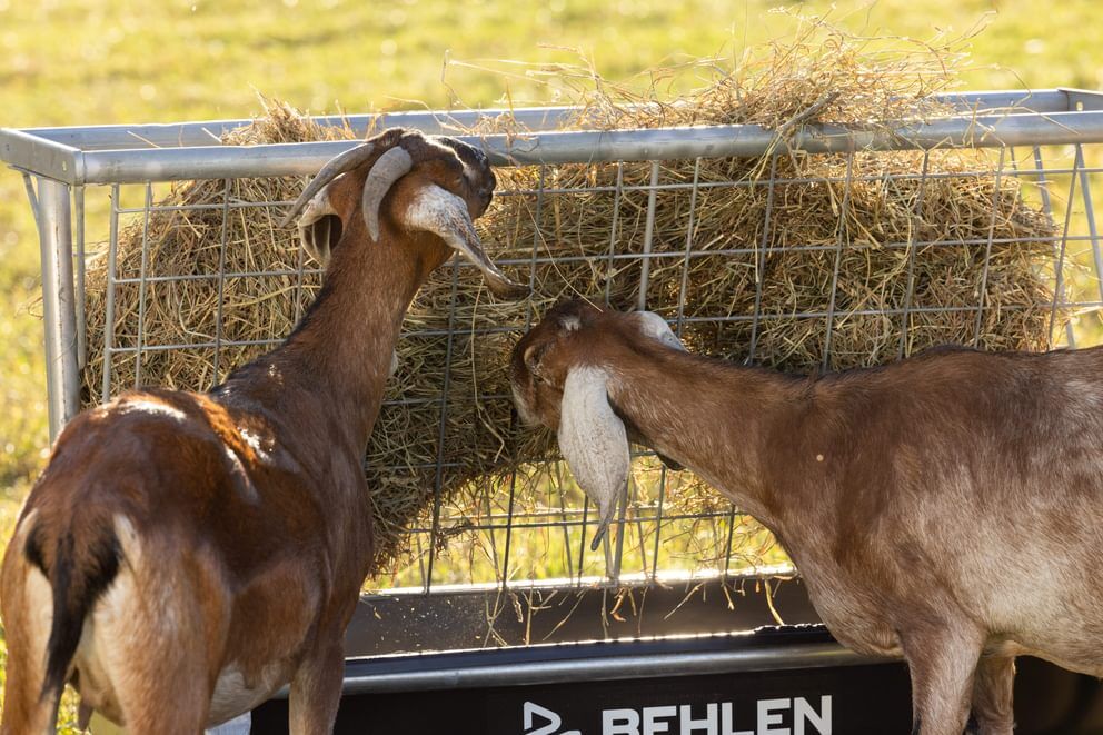 Behlen Country Black Foreman Pro All-In-One Feed Station, 5-Ft