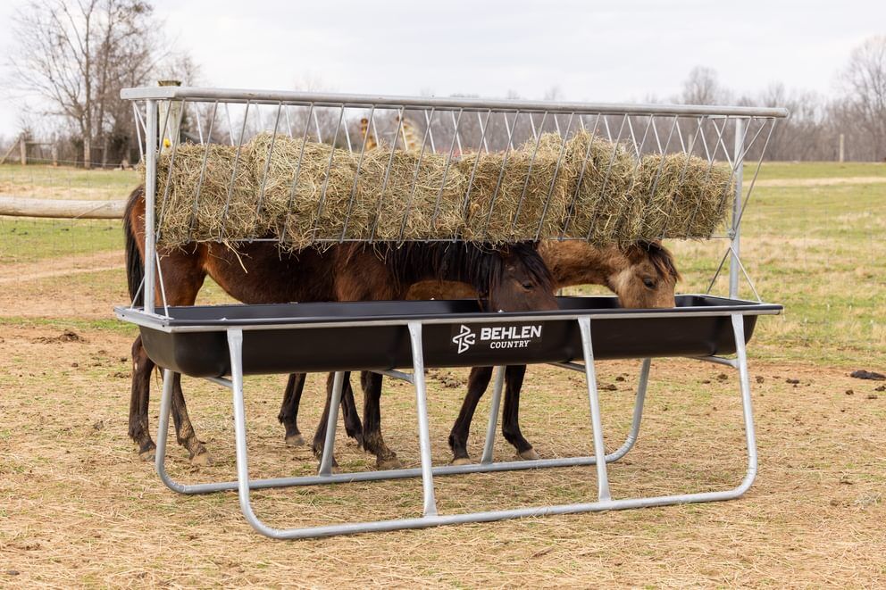 Behlen Country Stockman Black Galvanized Elevated Bunk Feeder, 10-Ft