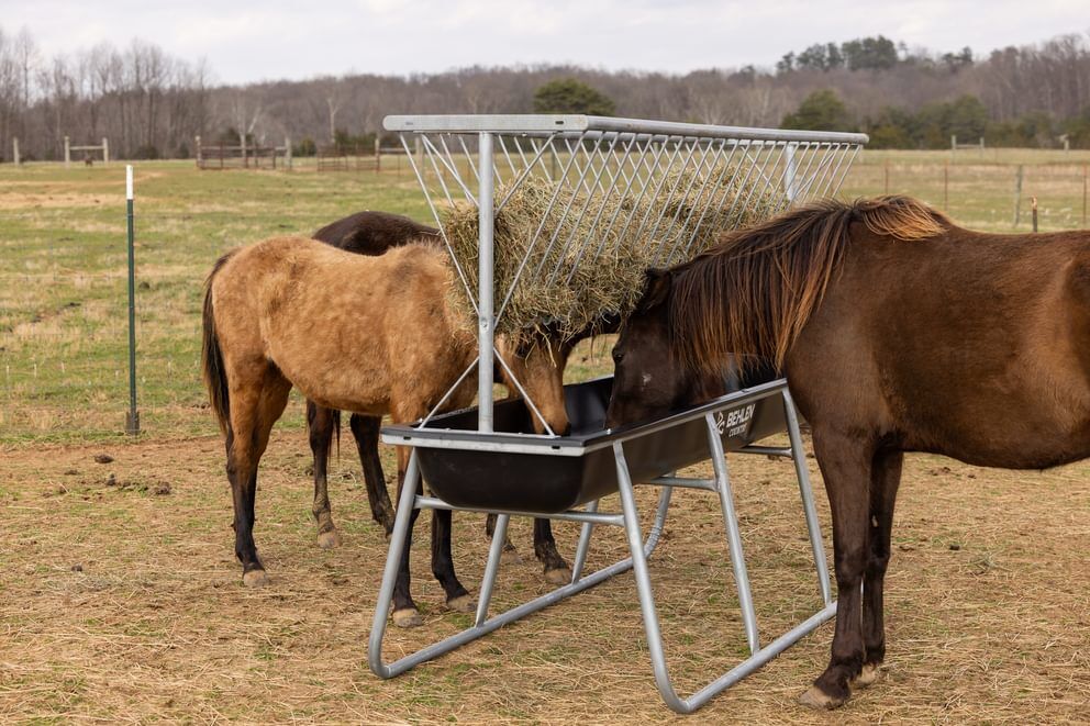 Behlen Country Stockman Black Galvanized Elevated Bunk Feeder, 10-Ft