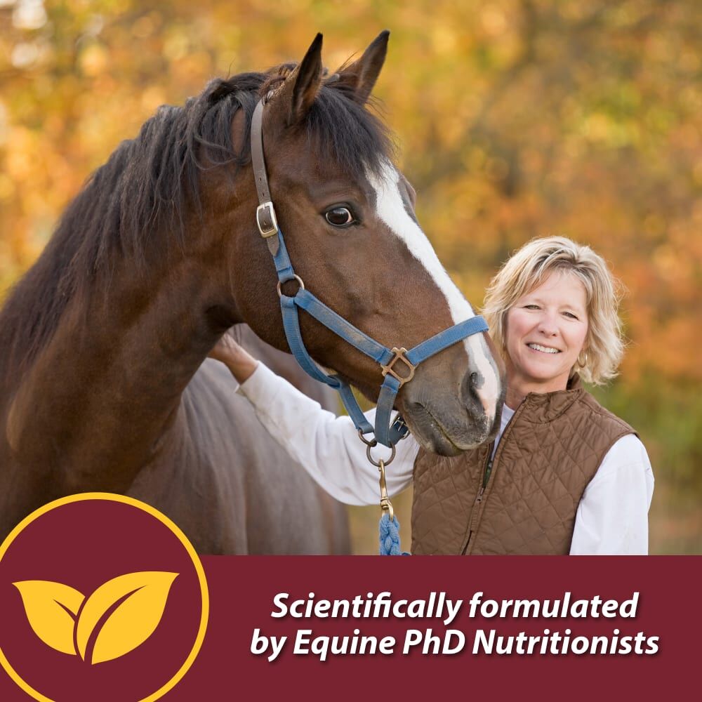 Farnam Laser Sheen Skin & Coat Supplement, 3.75-Lb