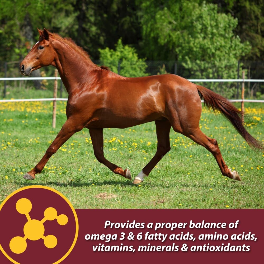 Farnam Laser Sheen Skin & Coat Supplement, 3.75-Lb