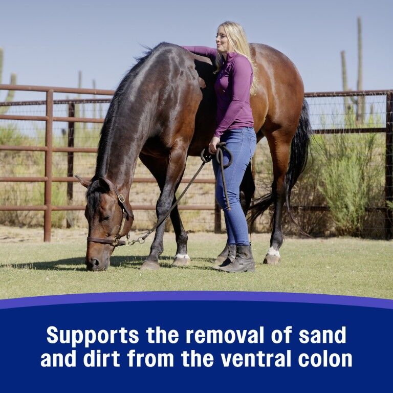 Farnam SandClear Natural Psyllium Crumbles, 3-Lb