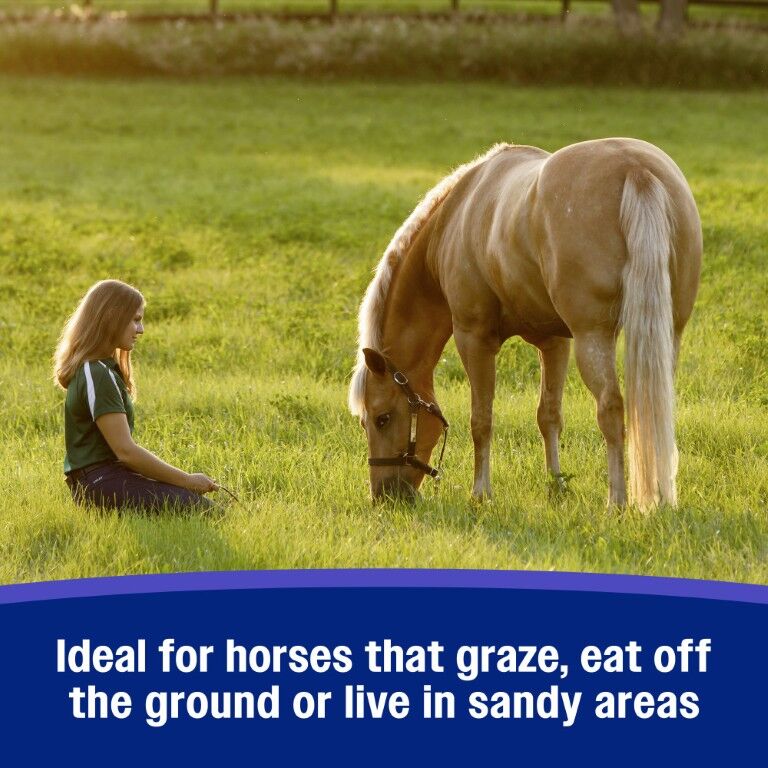 Farnam SandClear Natural Psyllium Crumbles, 3-Lb