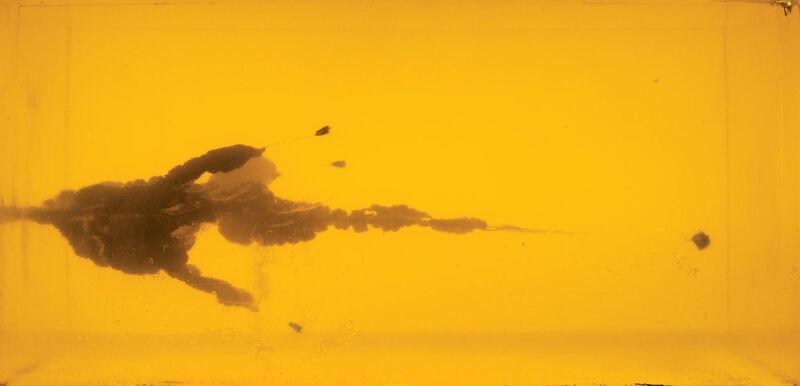 Federal Syntech Defense 9mm, 138 Grain Segmented Hollow Point Pistol Ammo, 20-Rd