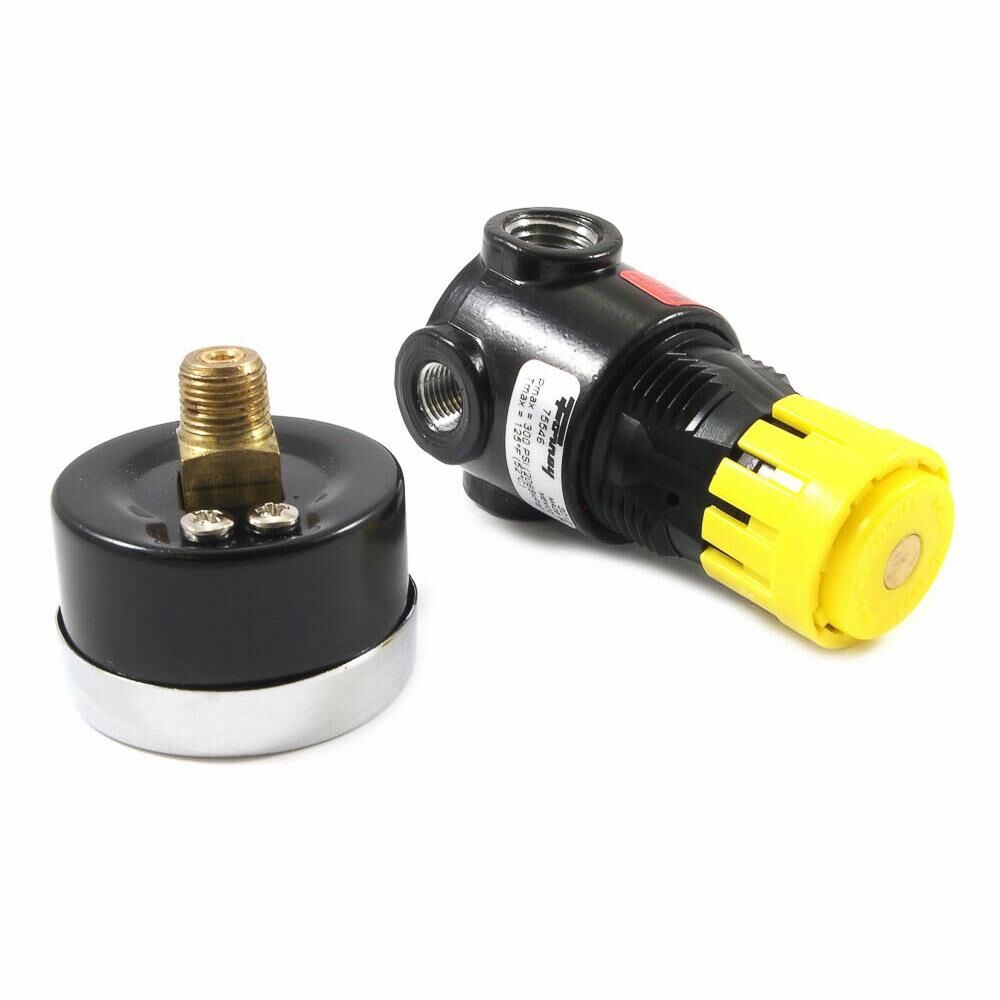 Mini Regulator, 1/4" Npt