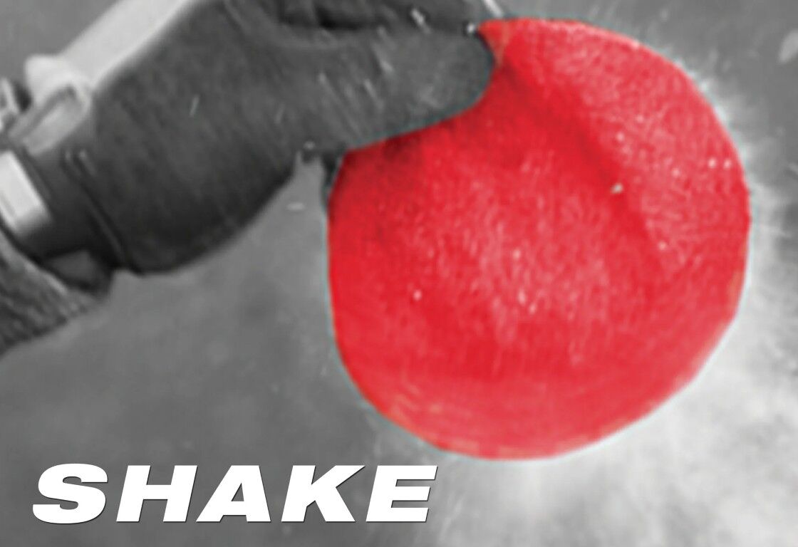 Diablo Sand Demon 80-Grit Sanding Discs With Connection Pad, 5-In