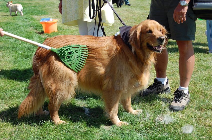 Furizzy Short Handle Dark Green Furizzy Shedding Rake