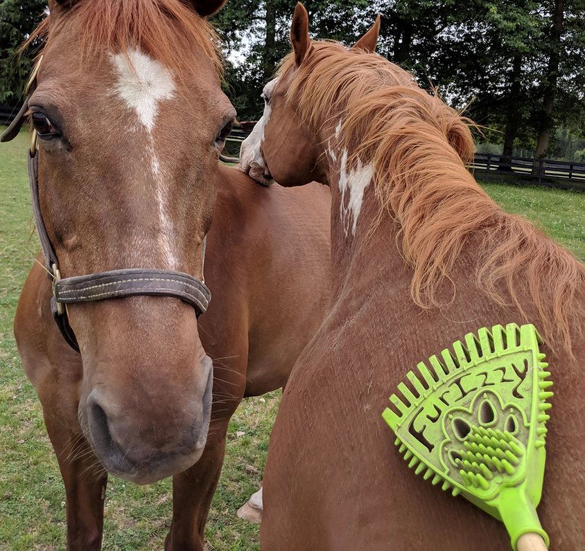 Furizzy Short Handle Lime Green Furizzy Shedding Rake