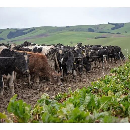 Gallagher Heavy Duty Multi-Wire Ring Top Post, 34.5-In