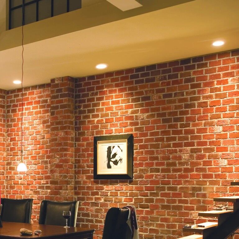 GE PAR38 16 Watt Daylight Ultra Bright Dimmable Outdoor LED Floodlight Bulb