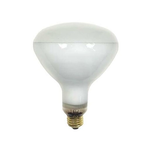 GE Incandescent Heat Lamp, Br40 Flood Light Bulb, 125-Watt, 2100 Lumen, Clear, 1-Pack