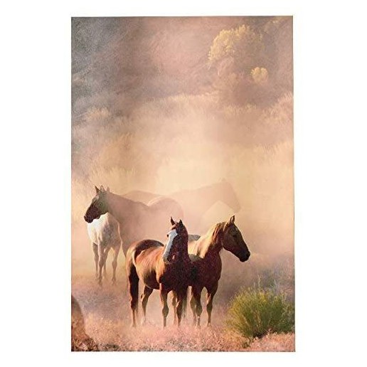 Gift Craft Canvas Print, Horses