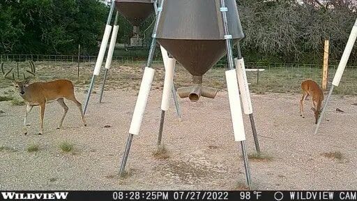 Stealth Cam Wildview 16 Digital Camera