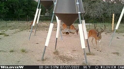 Stealth Cam Wildview 16 Digital Camera