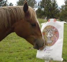 Haystack Farm & Feeds Wildberry Horse Treats, 10-Lb