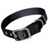 Hamilton Nylon Dog Collar in Black, 1-In x 28-In
