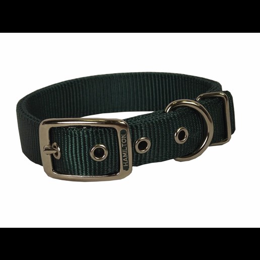 Hamilton Nylon Dog Collar in Green, 1-In x 28-In