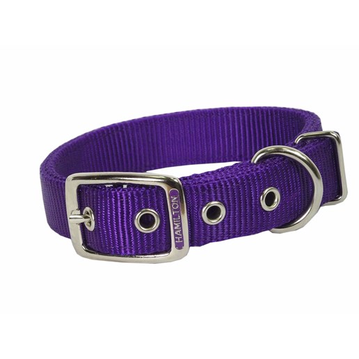 Hamilton Nylon Dog Collar in Purple, 1-In x 28-In