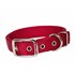 Hamilton Nylon Dog Collar in Red, 1-In x 28-In