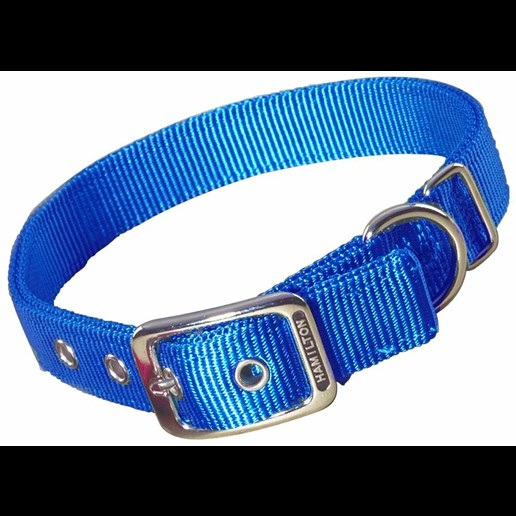 Hamilton Nylon Dog Collar in Blue, 1-In x 30-In