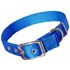 Hamilton Nylon Dog Collar in Blue, 1-In x 30-In