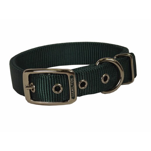 Hamilton Nylon Dog Collar in Green, 1-In x 32-In