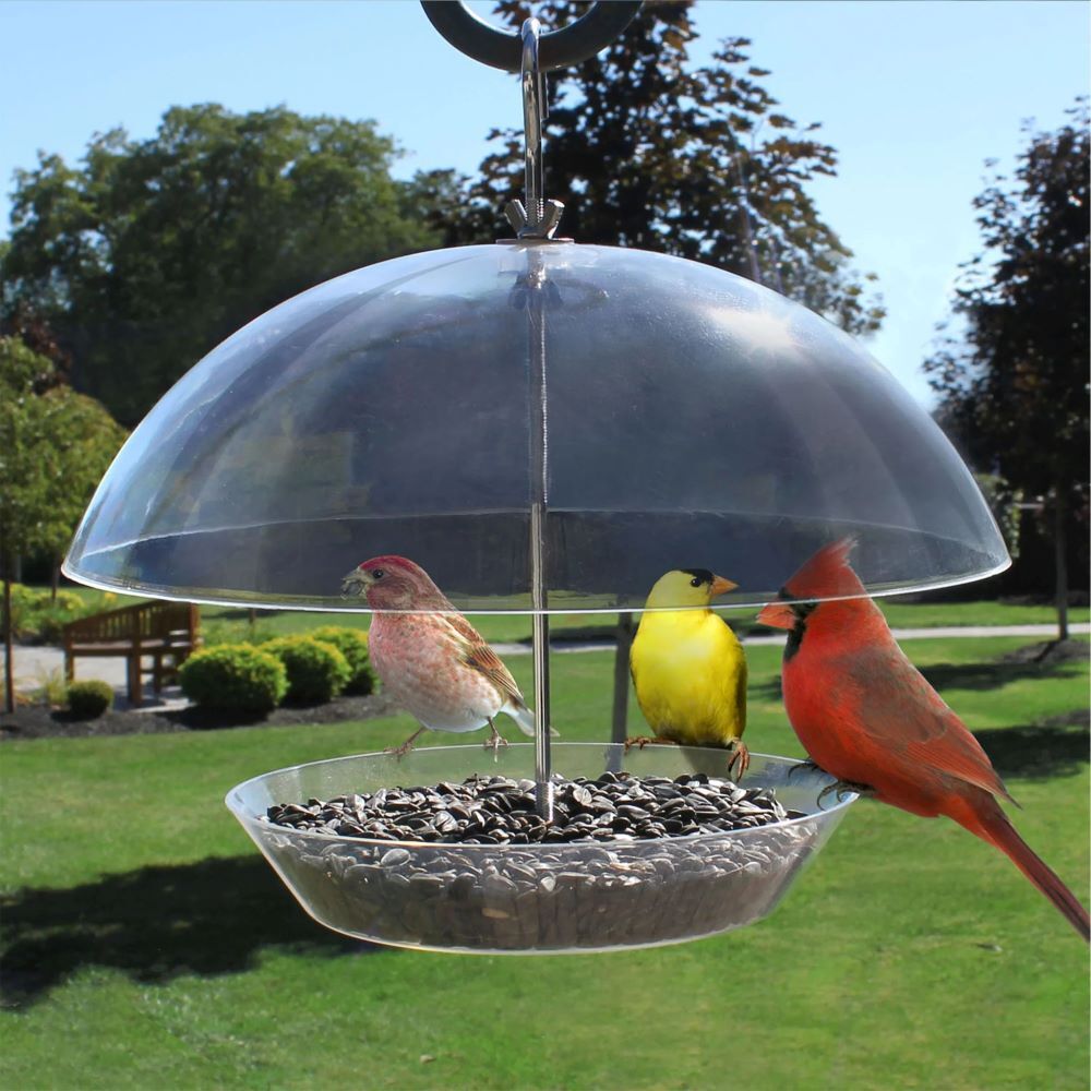 Heath Outdoor The Observatory Clear Dome Platform Bird Feeder