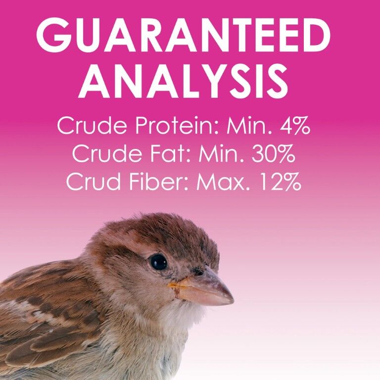 Heath Berry Blast High Energy Suet Cake, 11.25-Oz