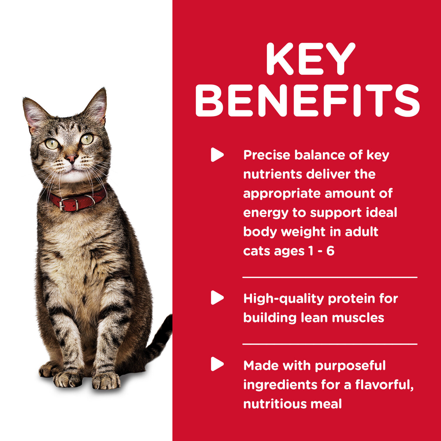 5.5oz Adult Feline Tuna Wet Cat Food