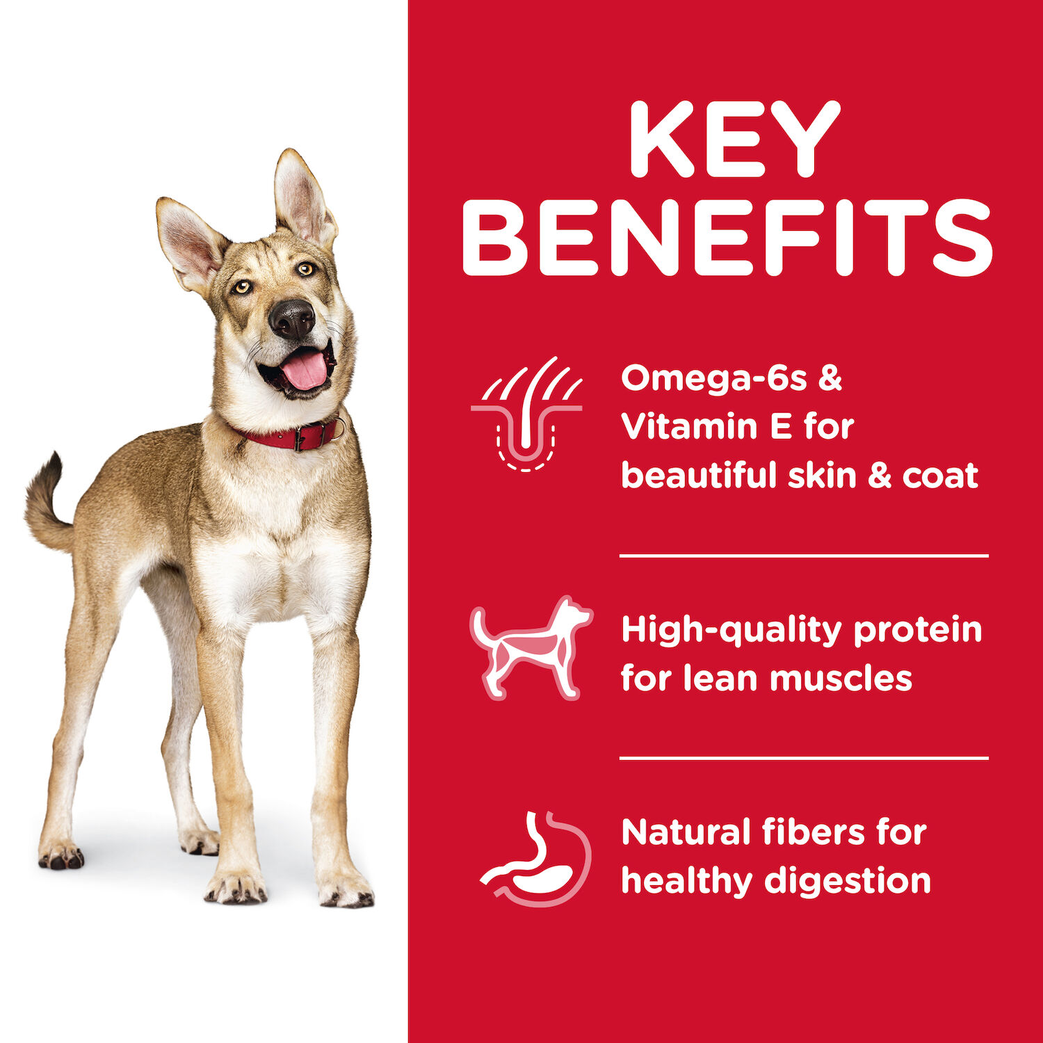 Hills Science Diet Lamb & Brown Rice Adult Dry Dog Food, 33-Lb Bag 